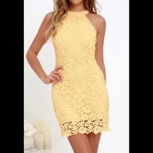 Lulu’s Love Poem Lace Dress